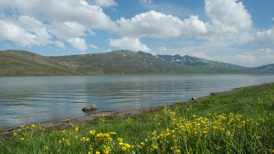 دریاچه نئور